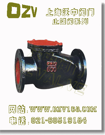 铸铁止回阀